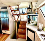 1995 Bayliner - 4788 Seanergy Iii